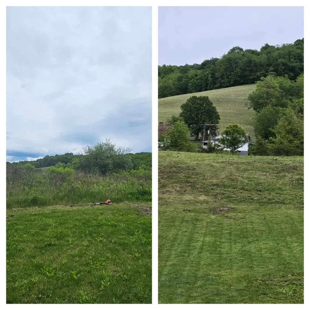 Affordable landscaping services in Weirton, WV by Mike's