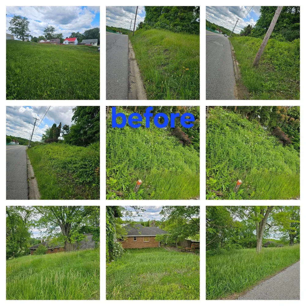 Affordable lawn care service in Weirton, WV by Mike's