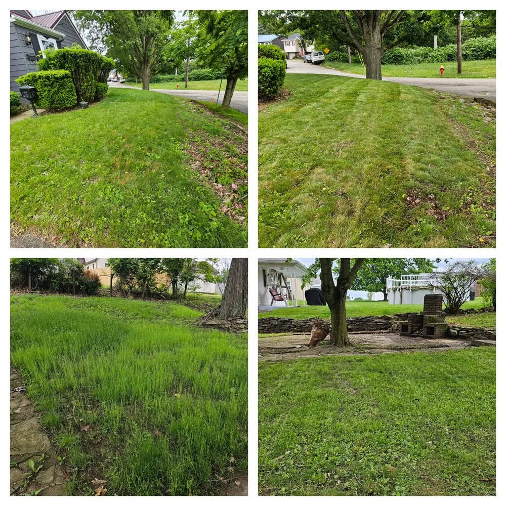 Affordable lawn care service for beautiful yards across Weirton, WV - Mike's