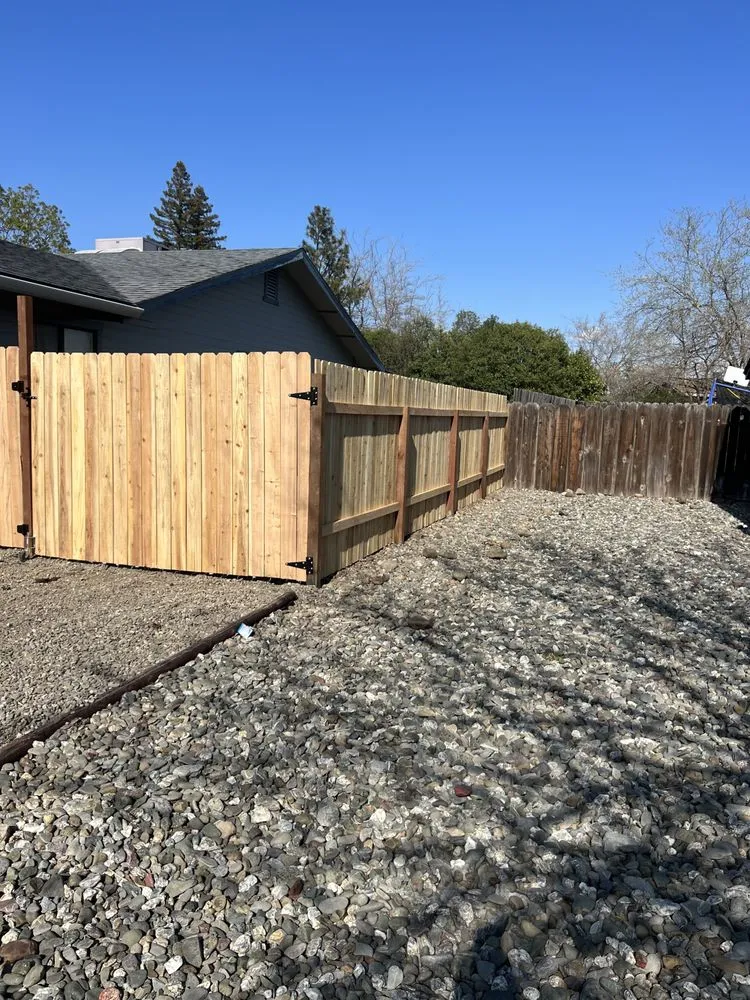 Trusted yard cleanup service experts serving Chico, CA - Mike's Yard Care