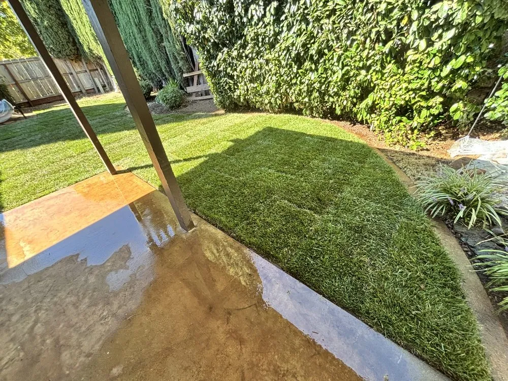 Custom yard maintenance in Chico, CA - Mike's Yard Care