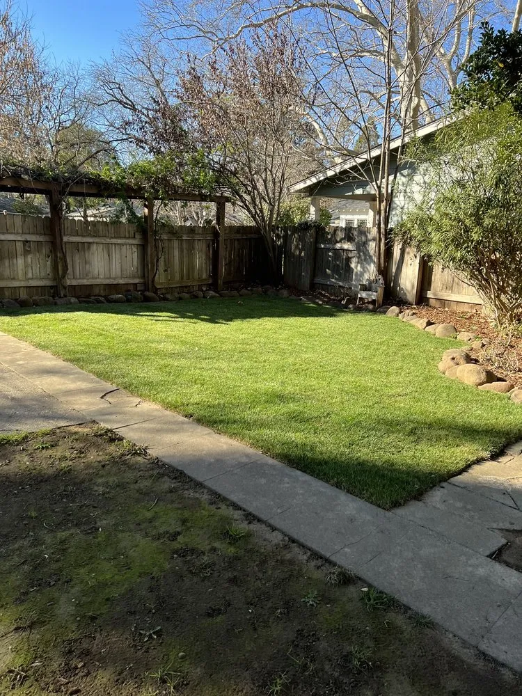 Expert lawn care service in Chico, CA - Mike's Yard Care