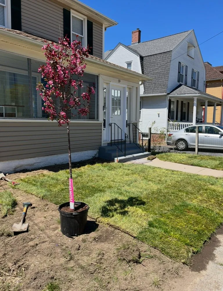 Reliable outdoor landscaping experts serving Richmond, RI - Mike's Yard Clean up