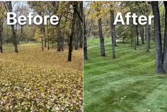 Professional yard maintenance for residential properties in Richmond, RI by Mike's Yard Clean up