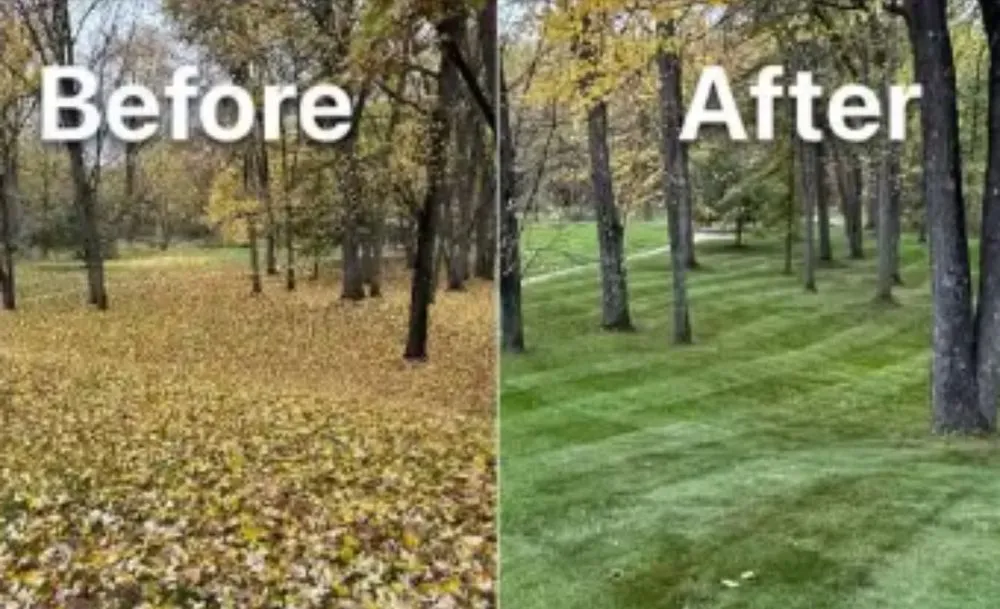 Expert residential landscaping near you across Richmond, RI - Mike's Yard Clean up