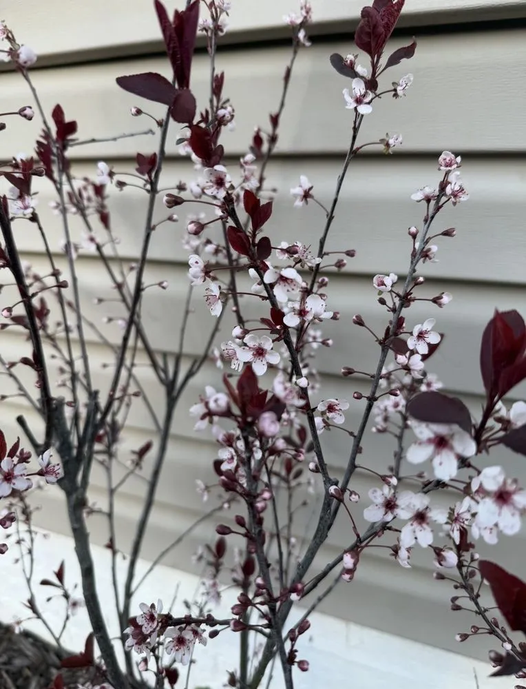 Professional residential landscaping for homes across Richmond, RI - Mike's Yard Clean up