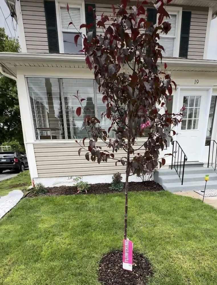 Local residential landscaping in Richmond, RI by Mike's Yard Clean up