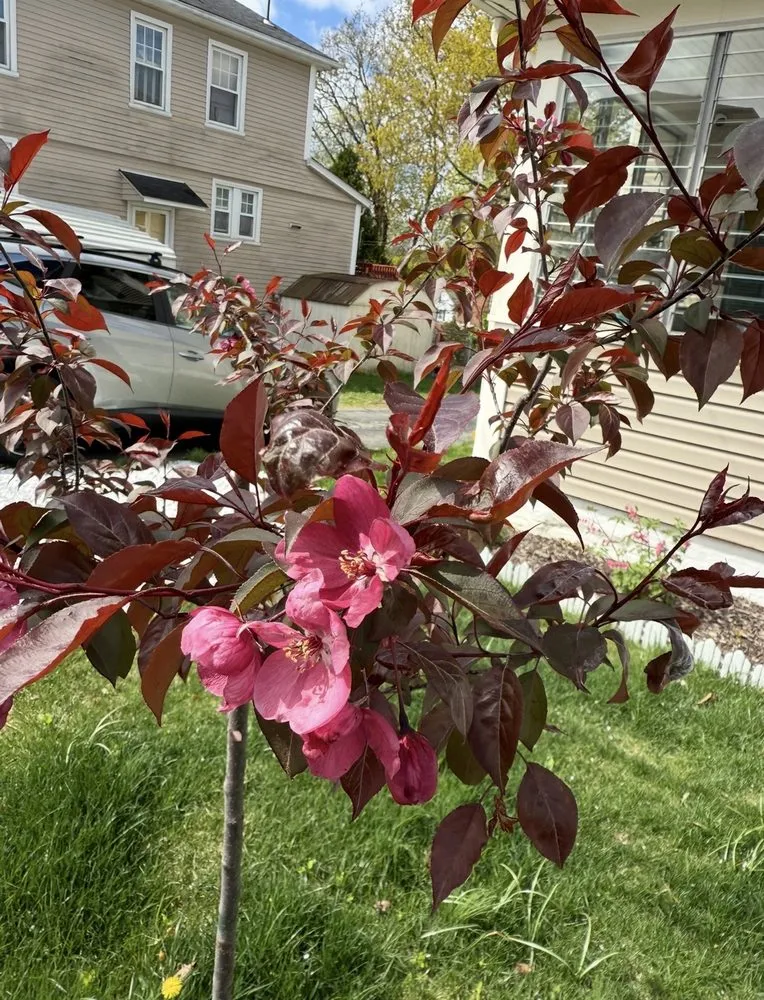 Top-rated landscape installation experts serving Richmond, RI - Mike's Yard Clean up