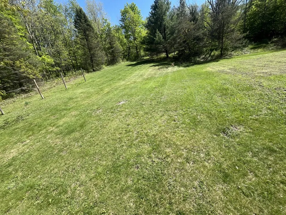 Top-rated lawn mowing service experts serving Tobyhanna, PA - Mikes Yard Service