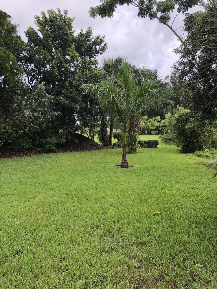 Custom outdoor landscaping for homes in Naples, FL by Mikes's Southern Green Landscaping