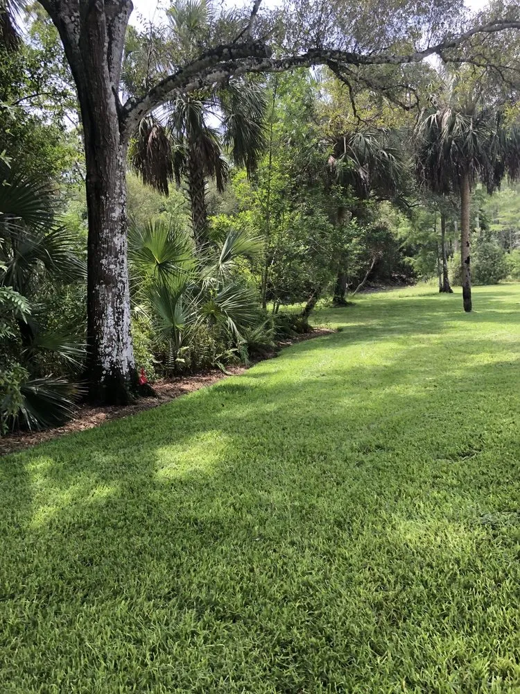 Top-rated outdoor landscaping experts serving Naples, FL - Mikes's Southern Green Landscaping