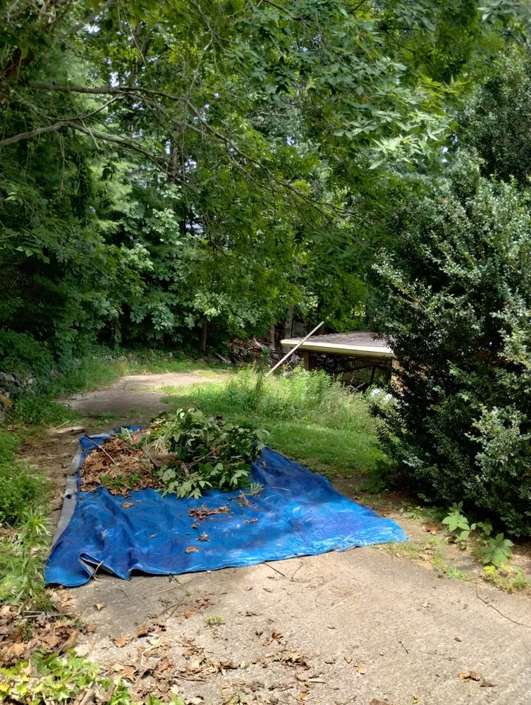 Affordable residential landscaping experts serving Erwin, TN - Mikey Does It Home Remodeling And Landscaping