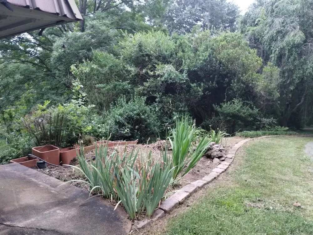 Local lawn mowing service in Erwin, TN by Mikey Does It Home Remodeling And Landscaping