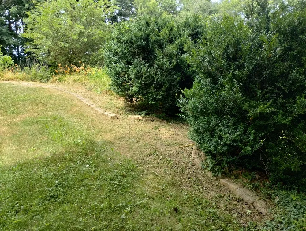 Professional yard maintenance in Erwin, TN by Mikey Does It Home Remodeling And Landscaping