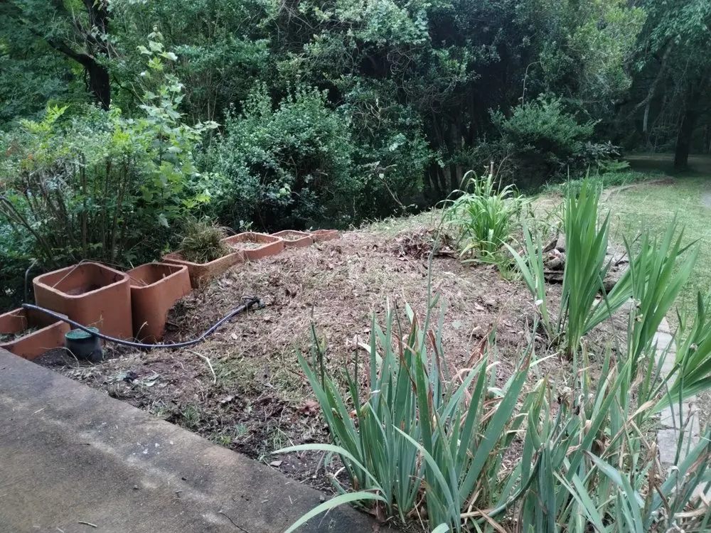 Affordable yard cleanup service in Erwin, TN by Mikey Does It Home Remodeling And Landscaping