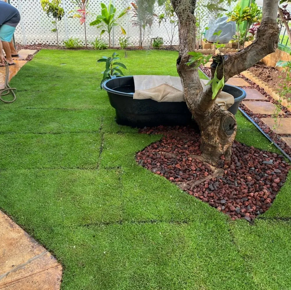 Reliable landscaping services for beautiful yards in Waianae, HI by Mikey Dreads Janitorial Landscaping Co.