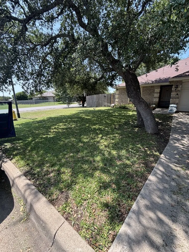Reliable outdoor landscaping for beautiful yards across Killeen, TX - Mikey Renteria