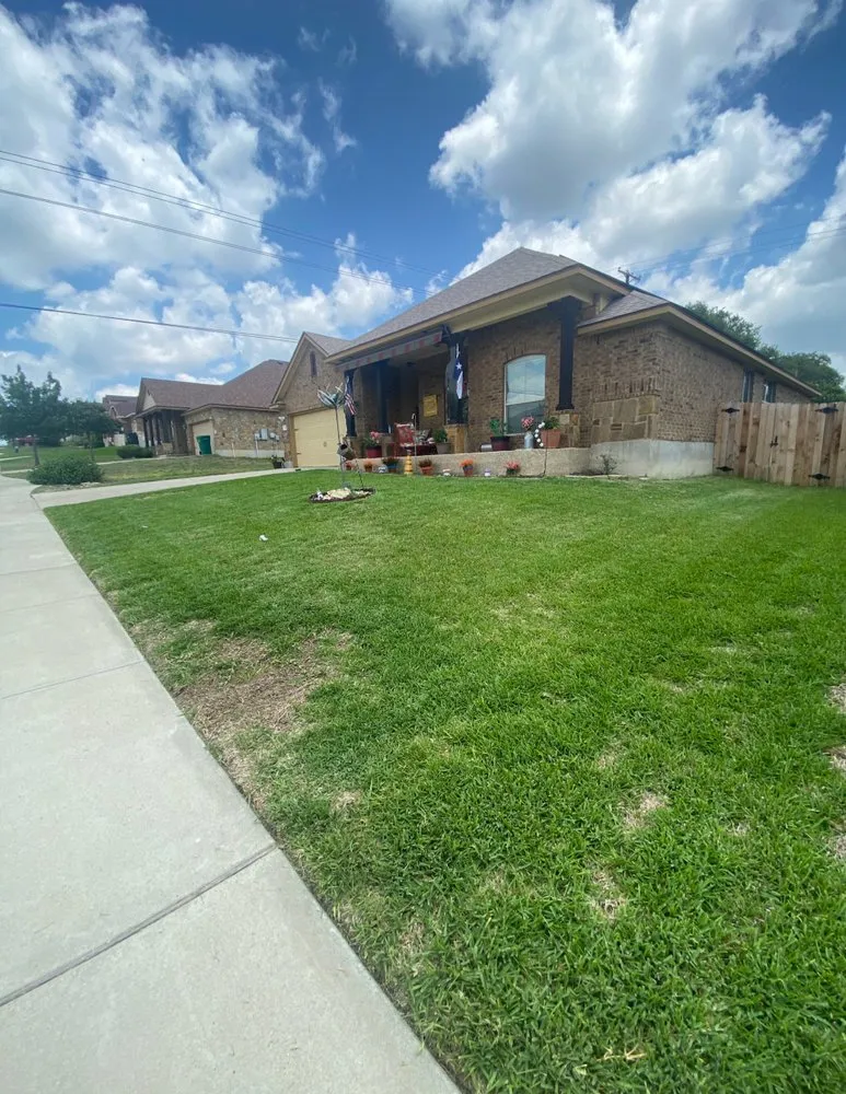 Trusted lawn care service near you across Killeen, TX - Mikey Renteria