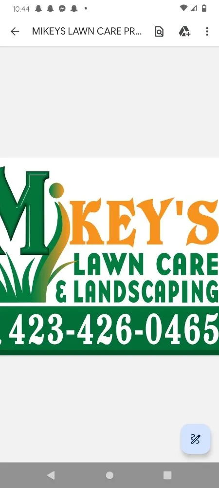 Professional yard cleanup service in Greeneville, TN - Mikey's lawn care and landscaping