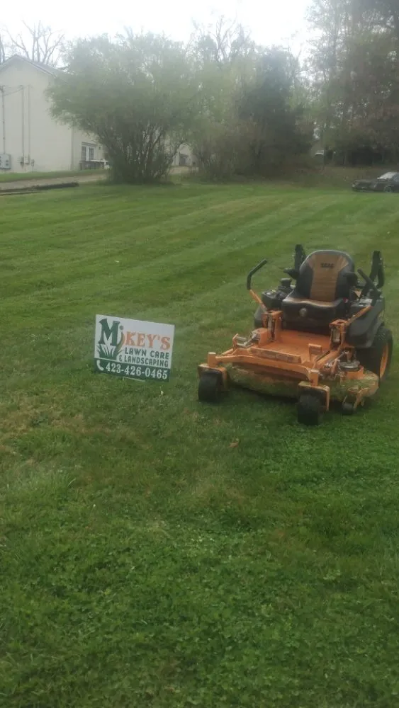 Professional yard maintenance for year-round maintenance across Greeneville, TN - Mikey's lawn care and landscaping