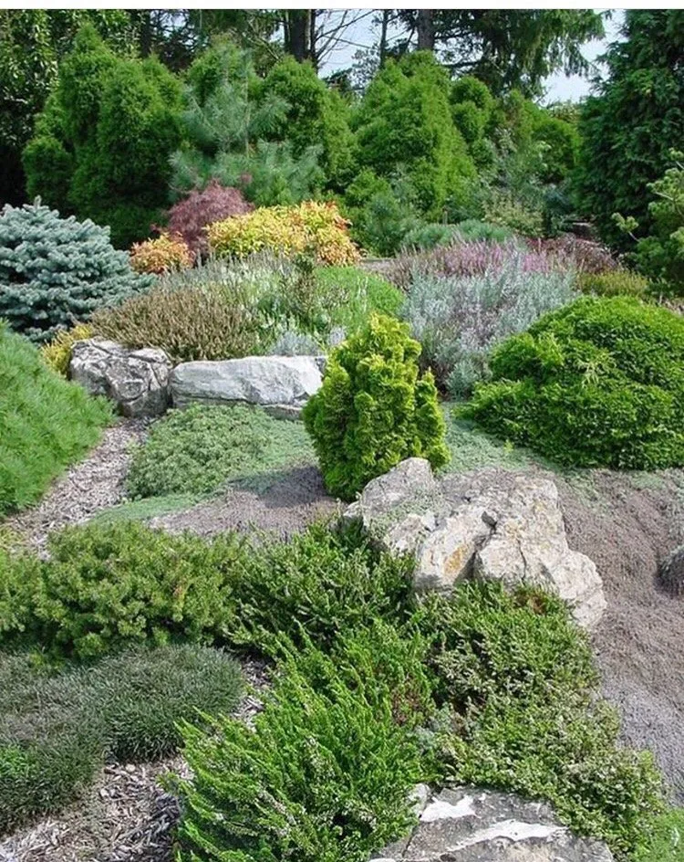 Professional landscaping services experts serving Atlanta, GA - Mikhail Landscaping