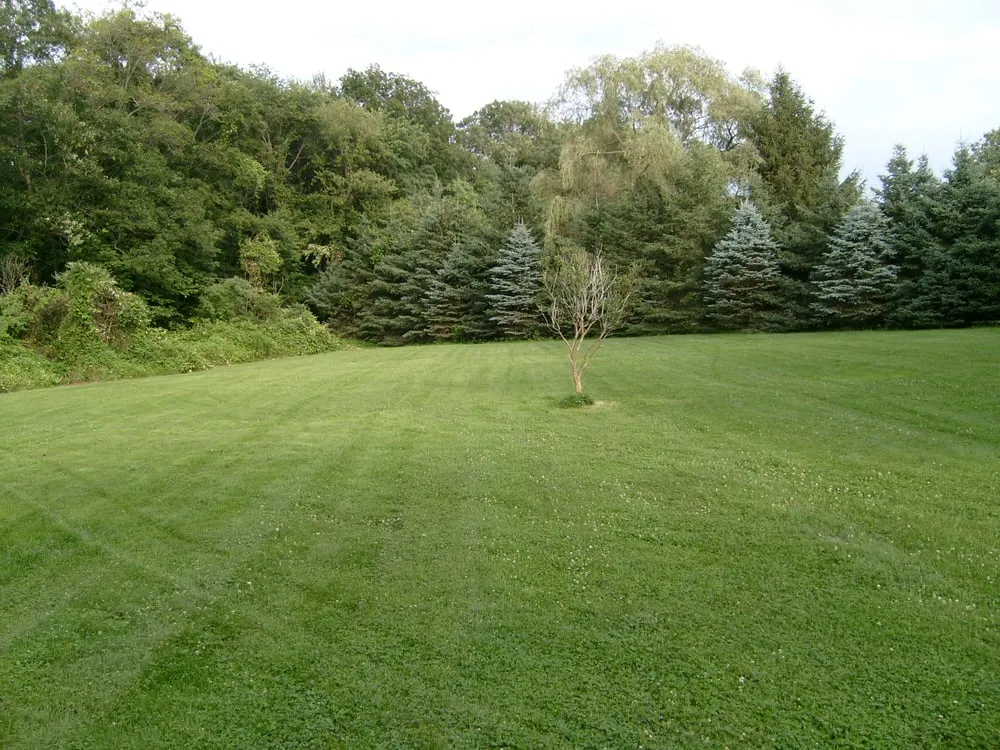 Expert yard maintenance experts serving Lebanon, CT - Mikkelson Mowing