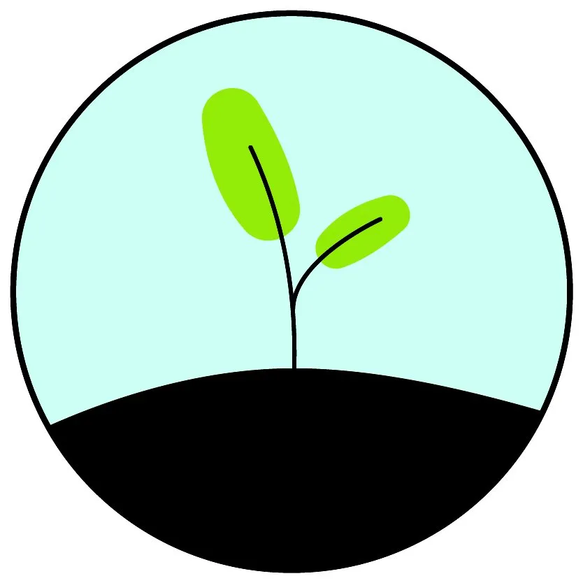 Local outdoor landscaping with custom design in Dallas, TX by Mikrob