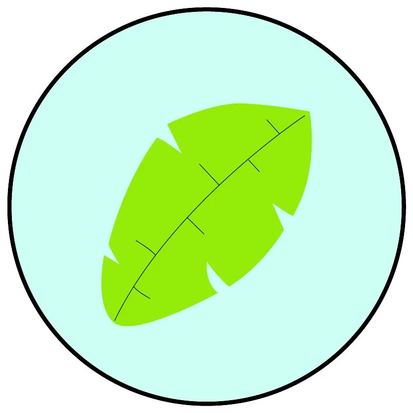 Local landscape installation experts serving Dallas, TX - Mikrob