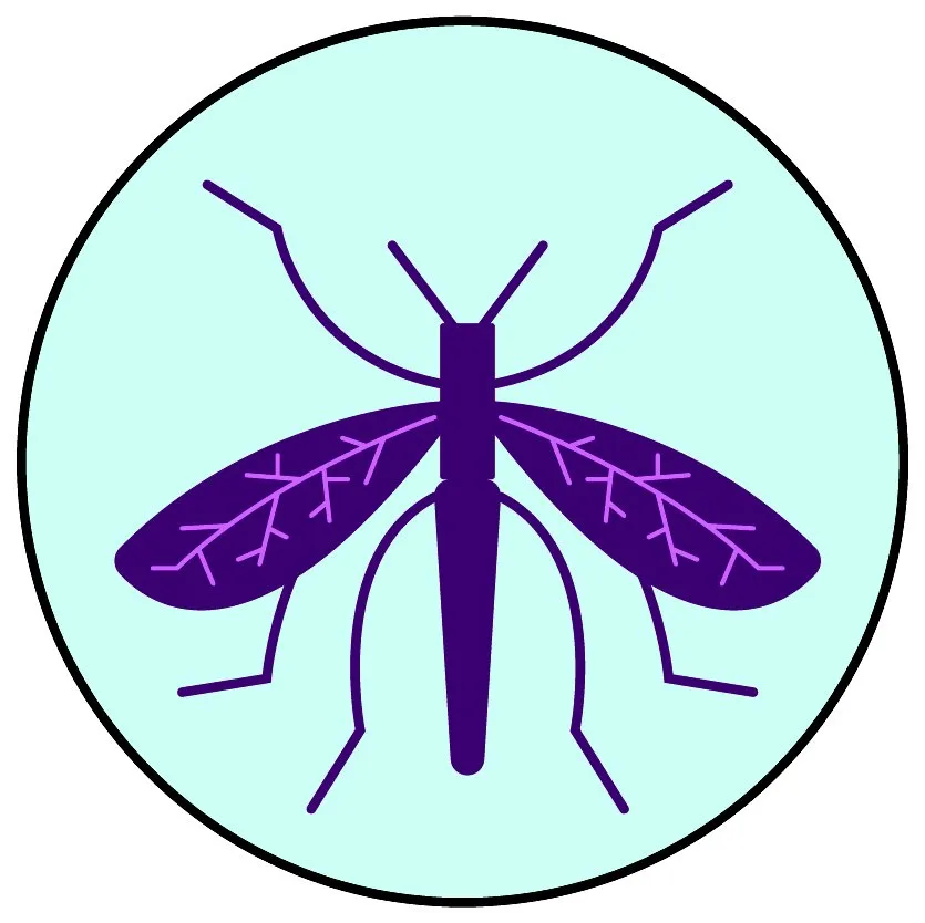 Reliable landscaping services in Dallas, TX by Mikrob