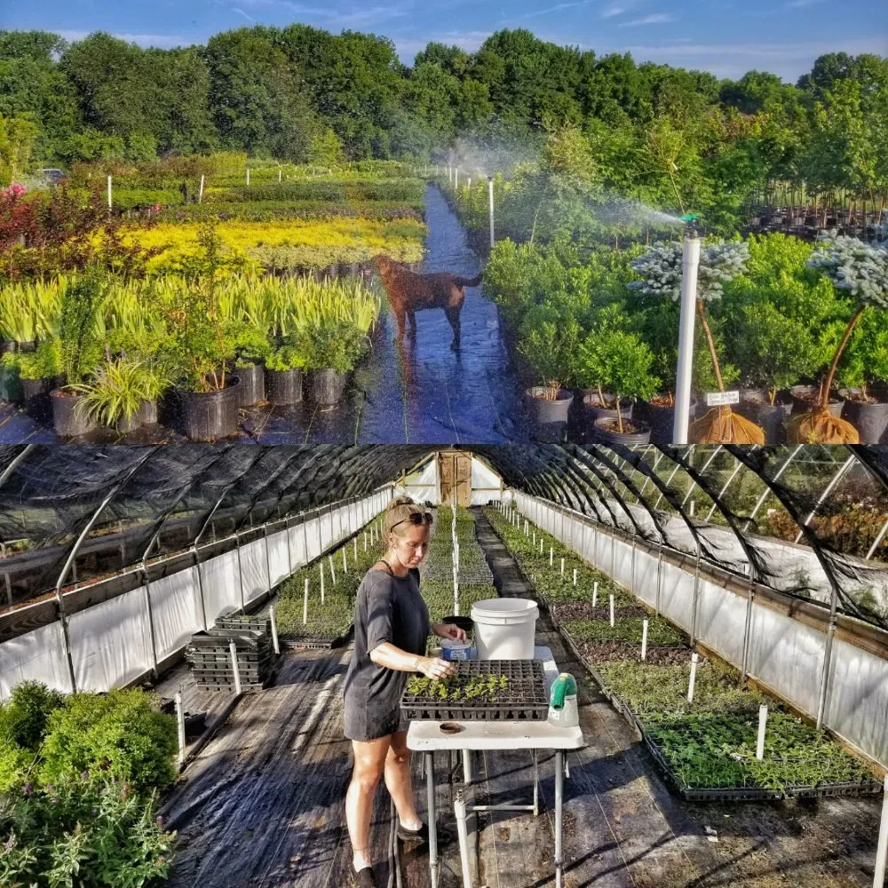 Custom landscape design experts serving Adams, TN - MIL-SPEC Landscaping