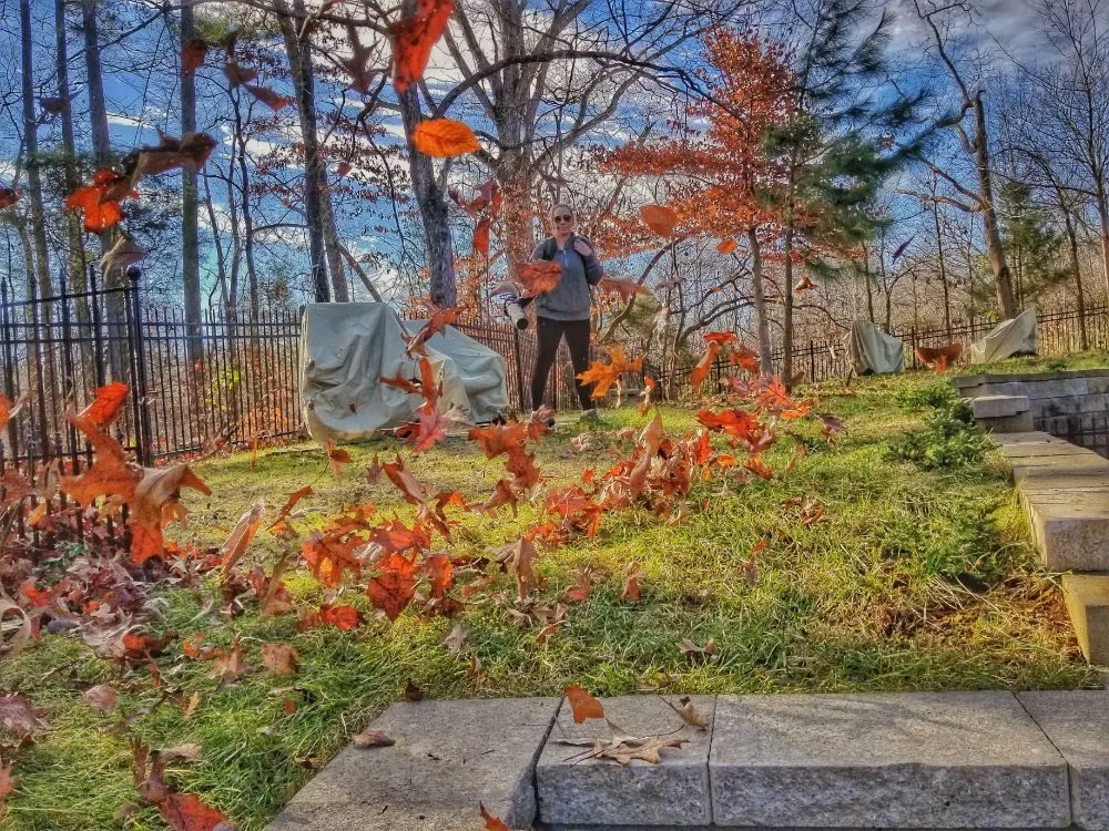 Professional landscape design experts serving Adams, TN - MIL-SPEC Landscaping
