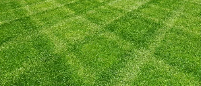Trusted landscape installation with custom design across Rexburg, ID - Mil-Spec Lawn & Home Services