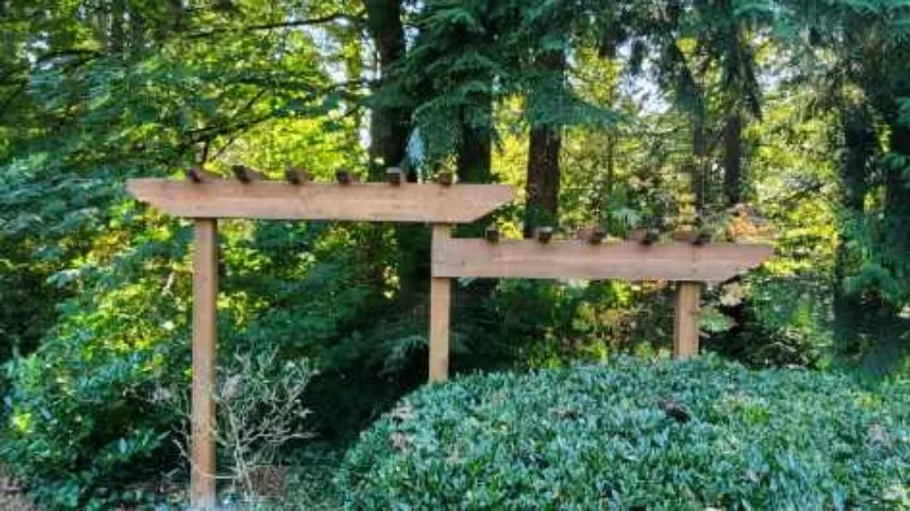 Professional lawn mowing service for outdoor upgrades in Maple Valley, WA by Milam Fencing