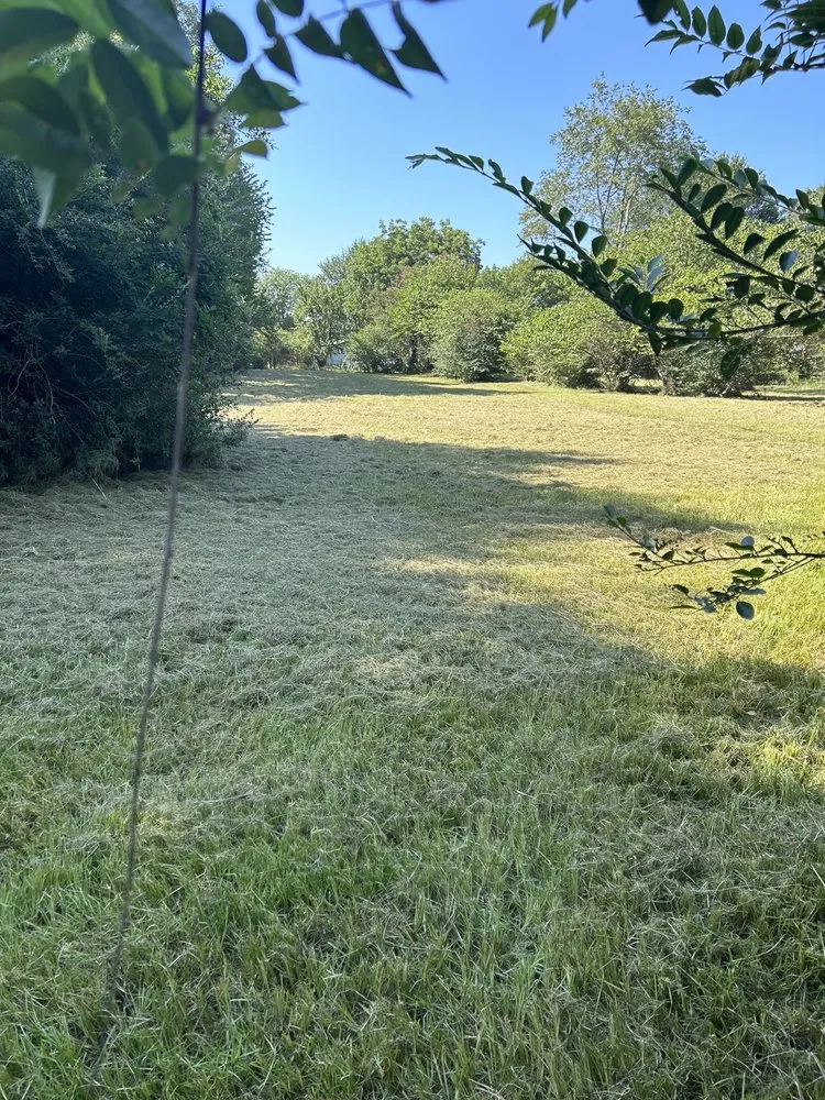 Custom yard cleanup service in Carrollton, TX by Milas Lawn Care