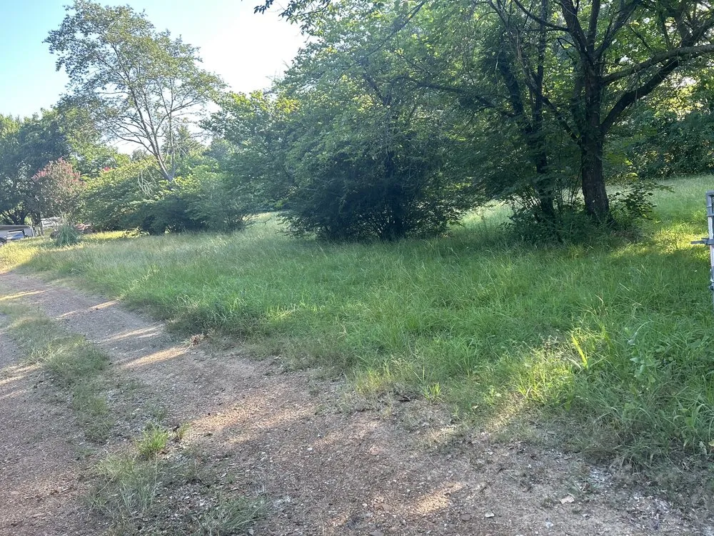 Professional landscaping services for year-round maintenance across Carrollton, TX - Milas Lawn Care