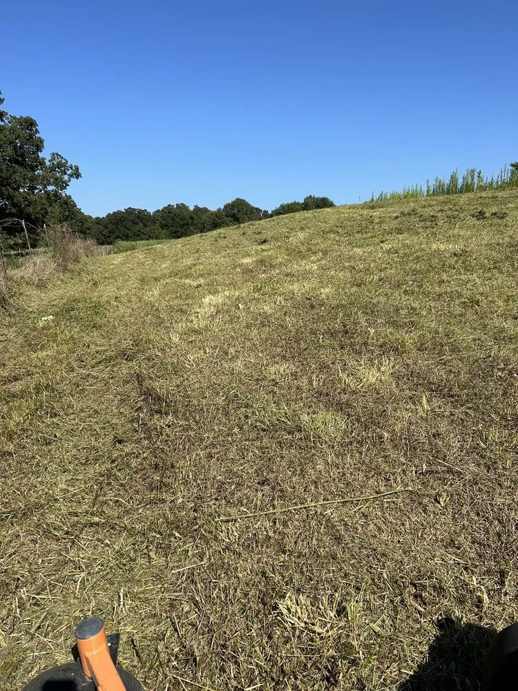 Top-rated yard cleanup service for beautiful yards in Carrollton, TX by Milas Lawn Care