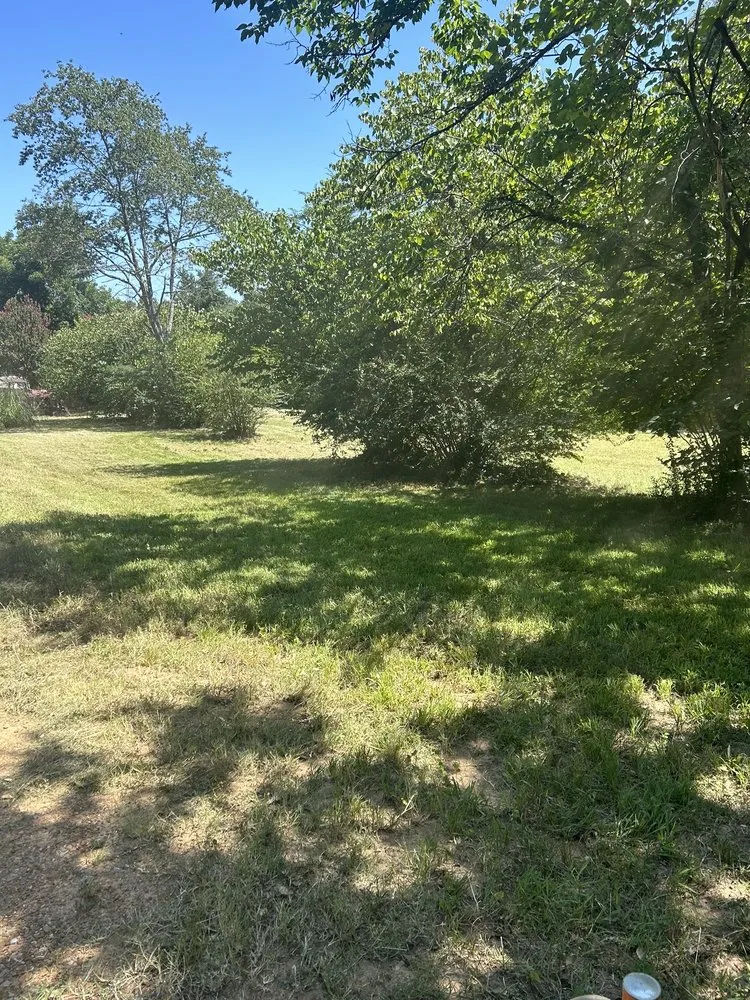 Expert landscape installation experts serving Carrollton, TX - Milas Lawn Care