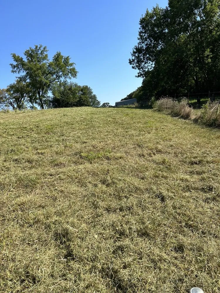 Top-rated lawn care service experts serving Carrollton, TX - Milas Lawn Care