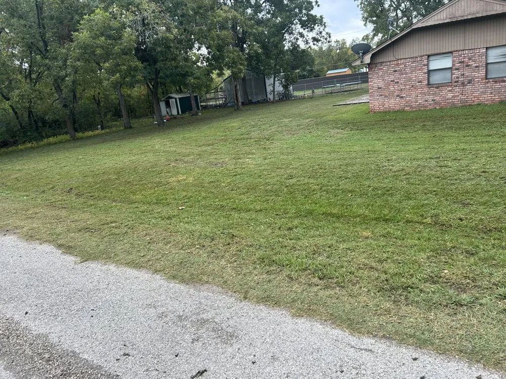 Professional yard cleanup service in Carrollton, TX by Milas Lawn Care