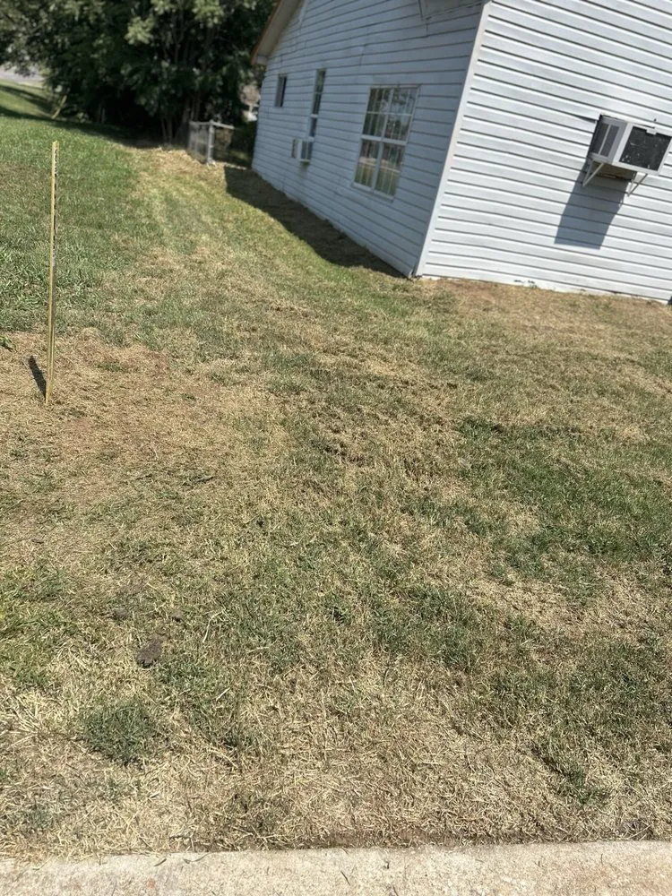 Reliable landscape design in Carrollton, TX - Milas Lawn Care