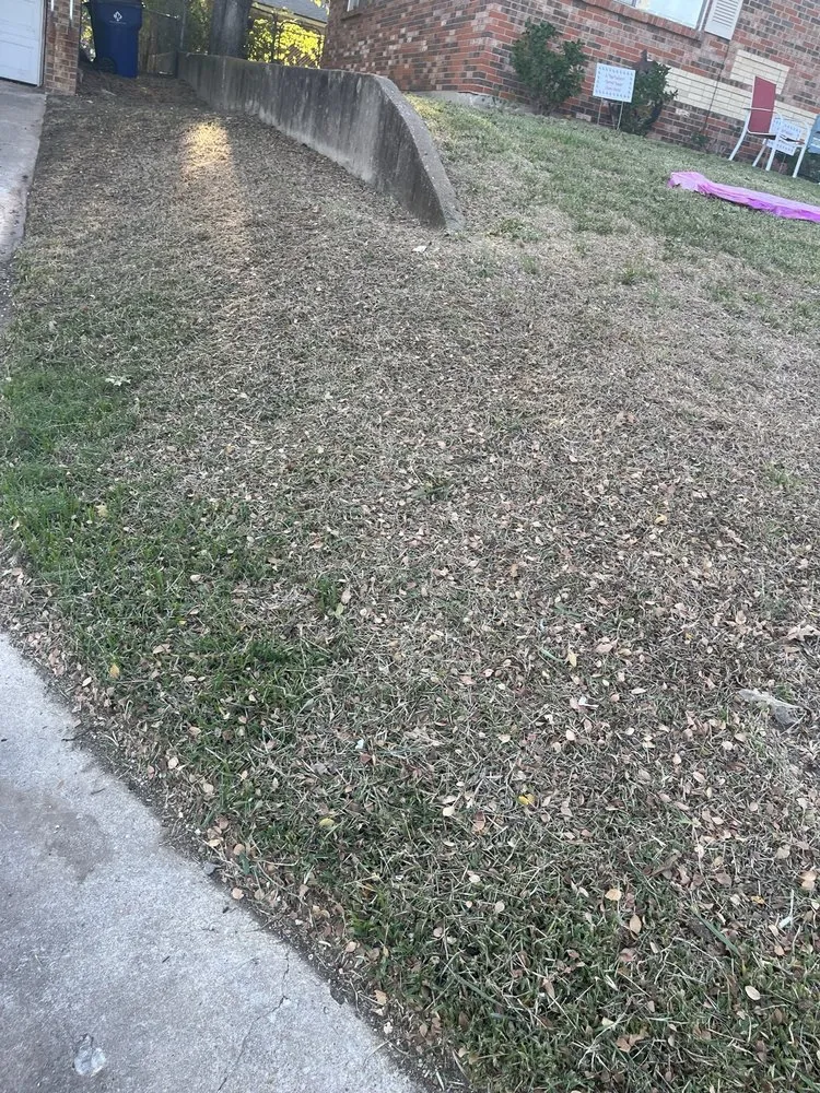 Reliable outdoor landscaping in Carrollton, TX - Milas Lawn Care