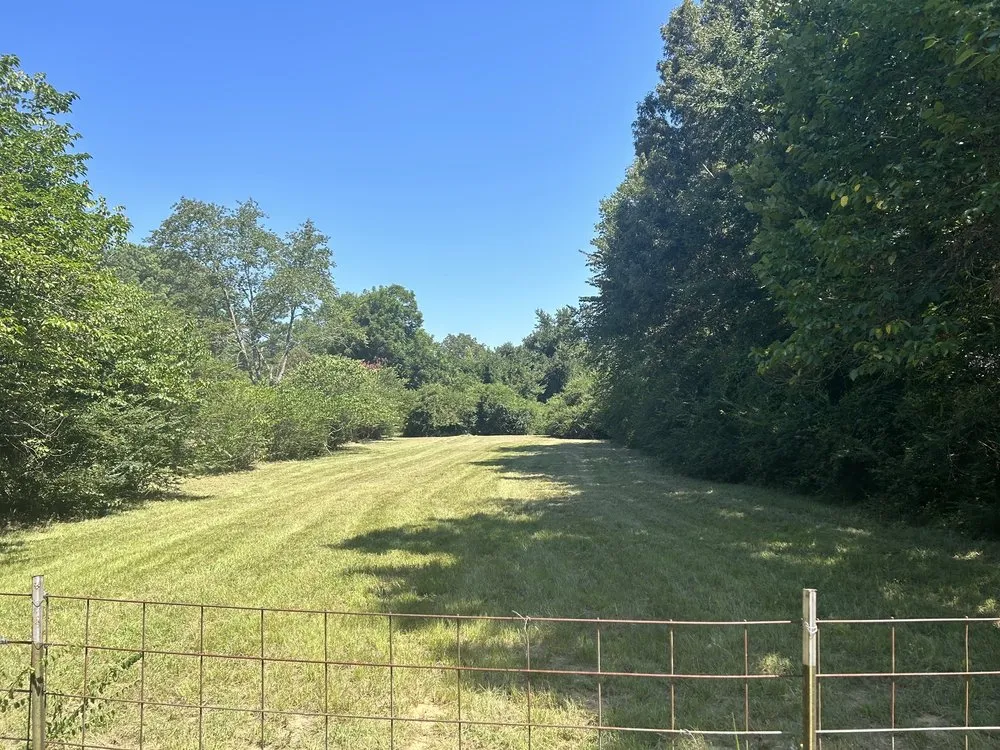 Reliable landscape design in Carrollton, TX - Milas Lawn Care