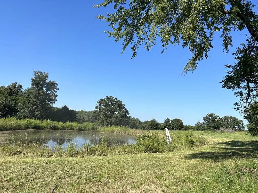 Affordable yard cleanup service near you across Carrollton, TX - Milas Lawn Care