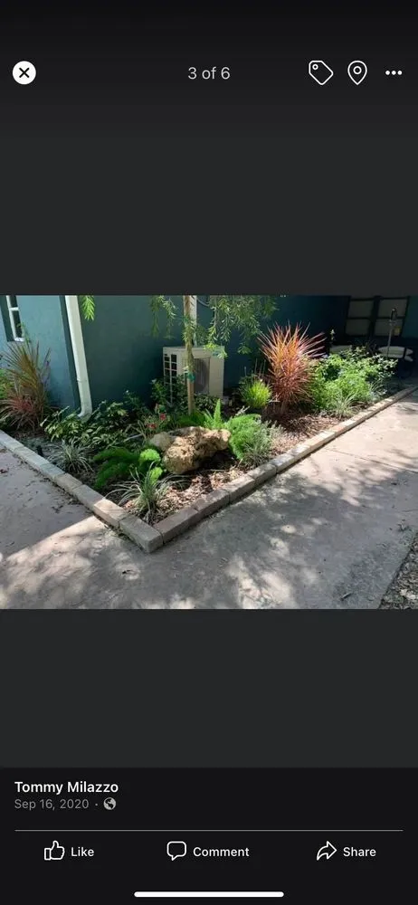 Reliable lawn care service in Arcadia, FL by Milazzo's Landscaping and Fence