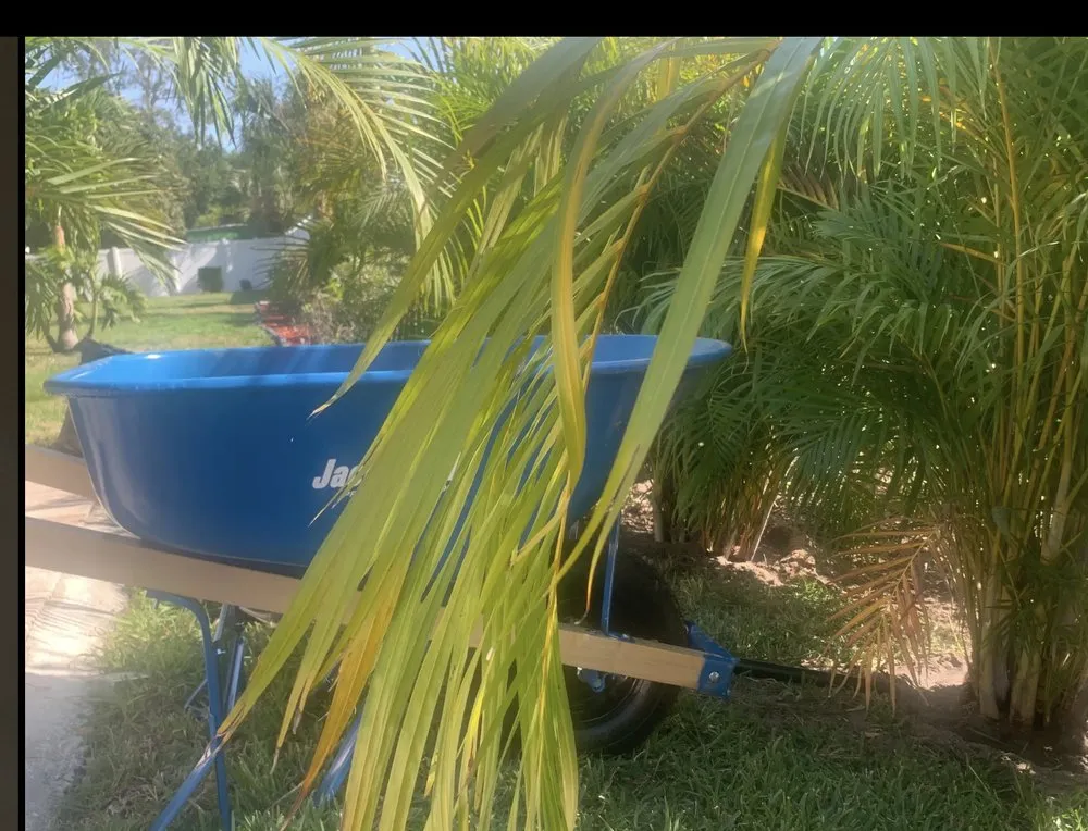 Top-rated landscape installation near you in Arcadia, FL by Milazzo's Landscaping and Fence