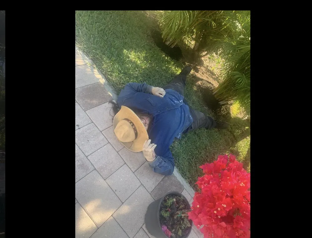 Professional landscaping services in Arcadia, FL by Milazzo's Landscaping and Fence