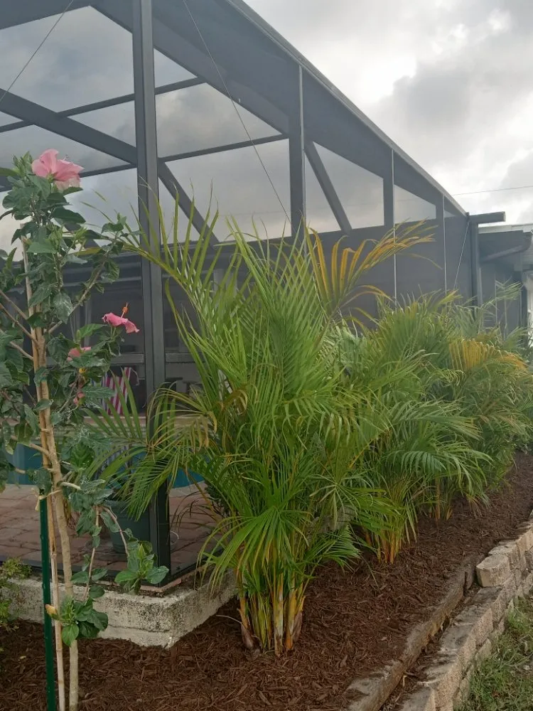 Reliable landscaping services in Arcadia, FL by Milazzo's Landscaping and Fence