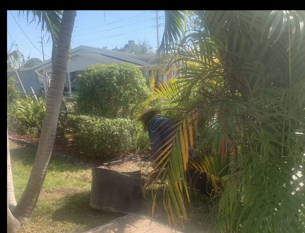 Trusted residential landscaping experts serving Arcadia, FL - Milazzo's Landscaping and Fence