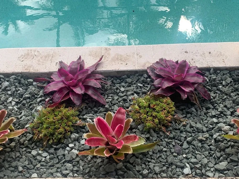 Trusted garden landscaping in Arcadia, FL - Milazzo's Landscaping and Fence