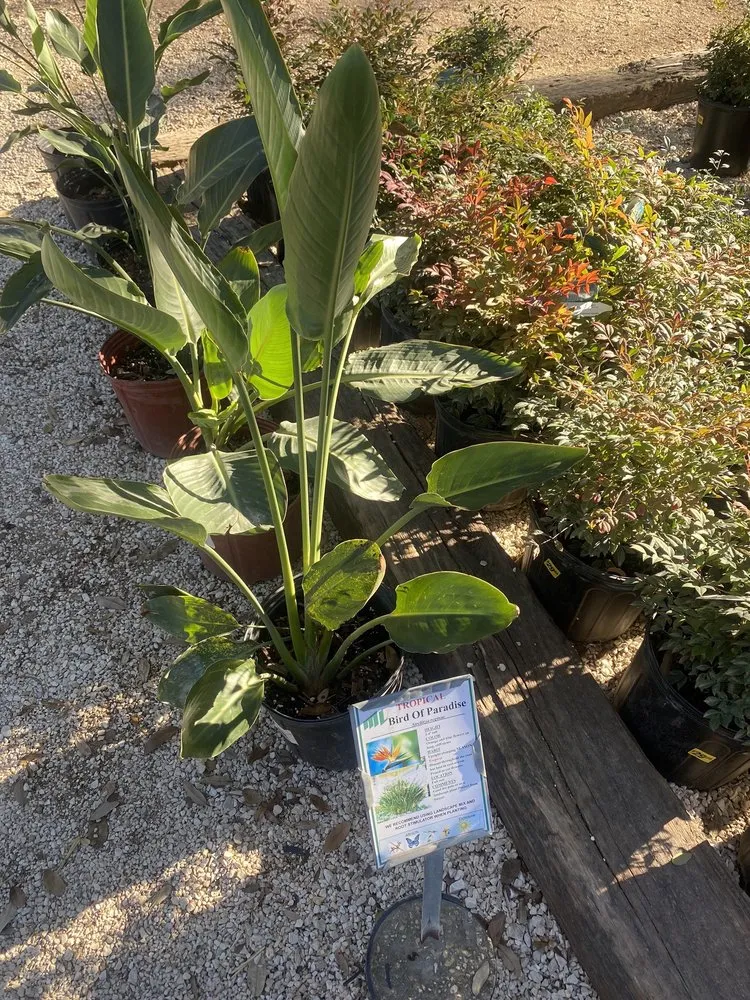 Reliable garden landscaping in San Antonio, TX - Milberger Landscaping